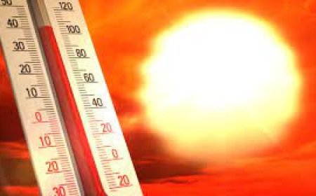 Климатека: Изминалата гореща вълна беше с до 3 °C по-топла поради човешкото влияние