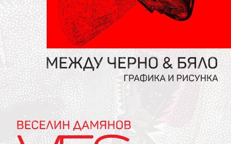 Веселин Дамянов-Ves ще представи в Добрич изложбата „МЕЖДУ ЧЕРНО&БЯЛО"
