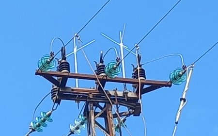 Птицезащитни устройства от нов тип монтира ЕРП Север в с. Стожер