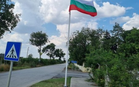 Какво се случи в Добричка област през изминалата седмица?