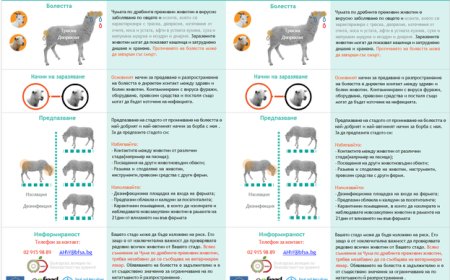 БАБХ с денонощен телефон за сигнали за нарушение на мерките срещу навлизането на чума по дребните преживни животни