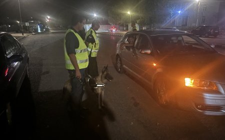 В Житница битов скандал прерасна в масово сбиване