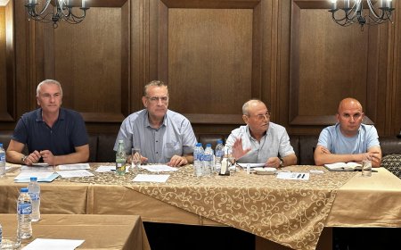 ДПС освободи Делян Пеевски като председател и го изключи от партията