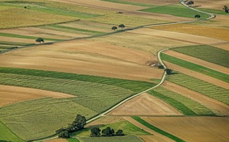 Стартират теренните проверки на физическите блокове за кампания 2024 г.
