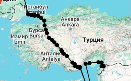 Орлето Илия летува в Румъния и Украйна