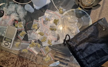 Мащабна специализирана полицейска операция се провежда в Добричка област