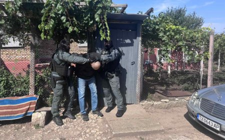 С помощта на полицейско куче откриха 216 гр. канабис и 8 гр. метаамфетамин в тервелското село Орляк