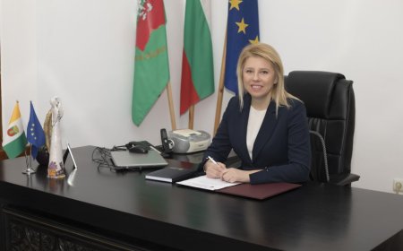 Соня Георгиева: Работя непоколебимо за референдум