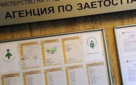 Близо 400 добричлии посещават обучения по език, предприемачество и дигитални умения