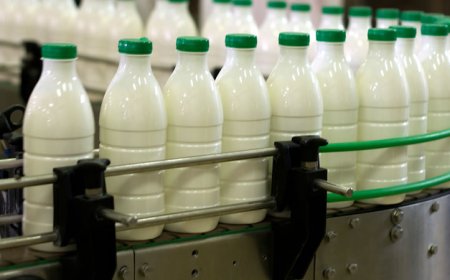 От 1 до 15 октомври организации на производители в сектор „Мляко и млечни продукти“ могат да кандидатстват за финансиране на нови оперативни програми