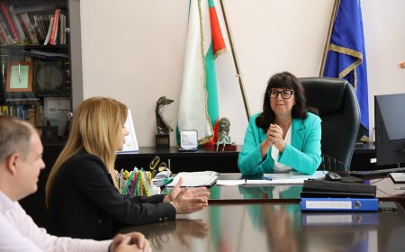 Министър Кондева сезира КЗП: Забранява се продажбата на енергиен прах заради здравни рискове