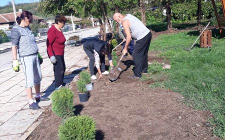 Доброволците от Коритен засадиха дръвчета и цветя около паметника на загиналите