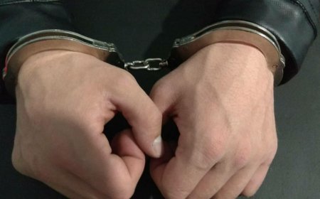 Полицията в Добрич откри наркотици при акция в частен имот