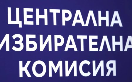 ЦИК отмени решение на ОИК – Добричка за съставите на СИК за местния референдум