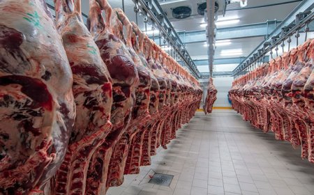 Държавен фонд „Земеделие“ изплати над 1 милион лева на животновъди