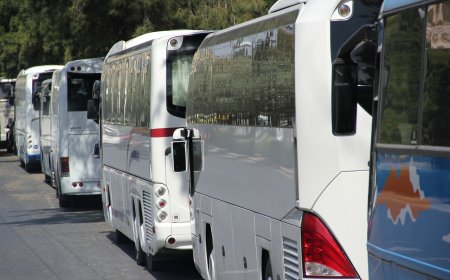 Значителни промени в транспортната схема на Добрич от началото на годината : нови линии и оптимизация