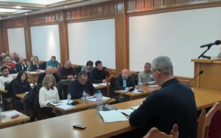 Приета декларация в Добричка: Ограничения за ветропаркове до провеждане на референдум