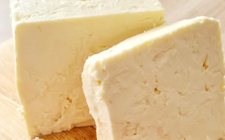 Данни от МЗХ: Повече имитиращи продукти и по-малко истинско сирене през 2024 г.
