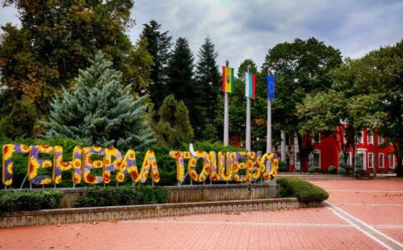 Празникът на Генерал Тошево: Концерт на „Фондацията“, кулинарни изненади с Ути Бъчваров и разнообразна програма