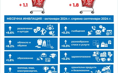 Месечната инфлация през октомври 2024 г. достигна 1.1%