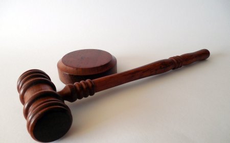 Френско семейство, извело децата си в България, ще бъде предадено на родната си страна за провеждане на наказателно преследване