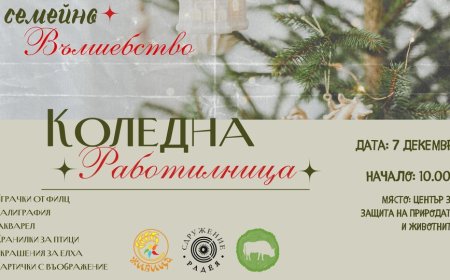 Коледна работилница ще зарадва малки и големи в Центъра за защита на природата и животните