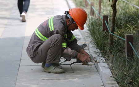 Свободните работни места в областта за 15 юни