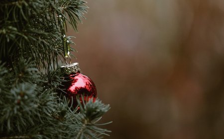 Община Тервел организира богата празнична програма за Коледа и Нова година