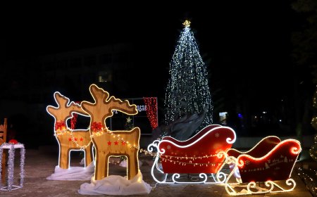 Коледната елха в Генерал Тошево грейна на площад „Бялата лястовица“