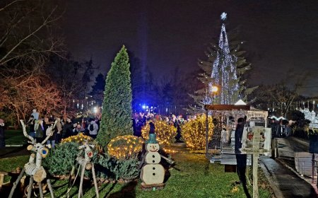 Снощи коледната елха в Добрич грейна в Градския парк „Свети Георги“