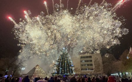 Коледната елха грейна в Каварна