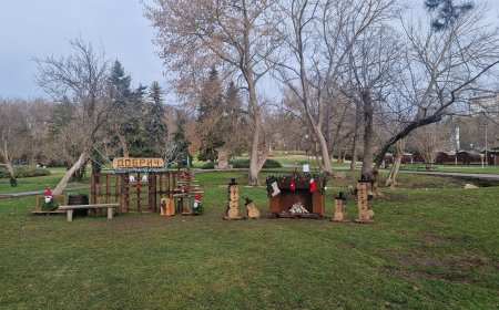 Коледна атмосфера в парк „Свети Георги“ - украса, вдъхновена от природата