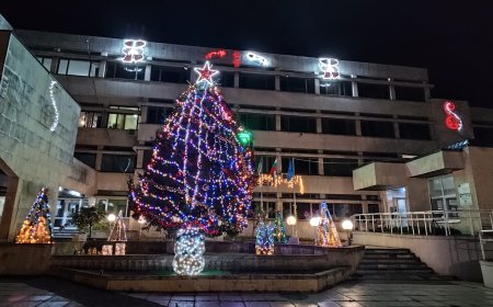 Елхата в Тервел грейна с нова пищна украса