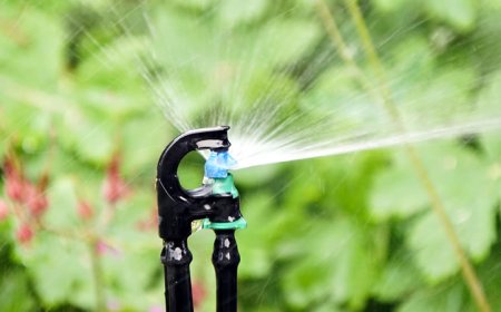 ДФЗ изплати над 10,6 млн. лв. по помощта за вода за напояване