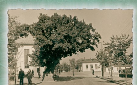 Традиции и история в новия календар на Община Тервел за 2025 година