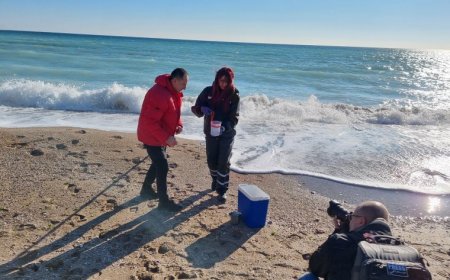 Тестваха за замърсяване водата край Дуранкулак след петролния разлив в Керченския проток