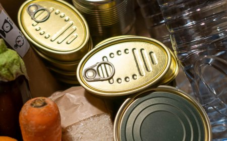 231 домакинства в Генерал Тошево получиха празнична помощ благодарение на кампанията „Благотворителна Коледа 2024“