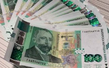 ДФЗ преведе над 584 милиона лева на земеделци по „Основно подпомагане на доходите за устойчивост“