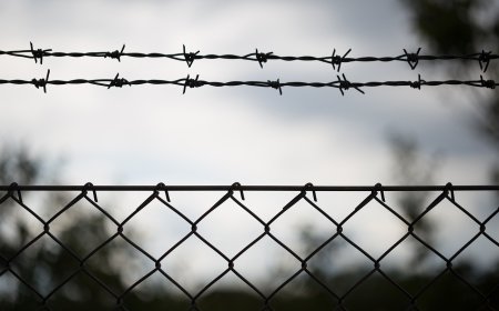 Румъния закрива над 30 гранични пункта с България и Унгария след влизането в Шенген