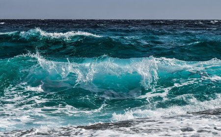 Каква ще е температурата на морската вода днес на Йордановден?