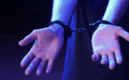 Открит е извършителят на кражбата в село Орляк