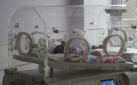 По-малко българчета през 2024 – спад в ражданията с над 1000 деца