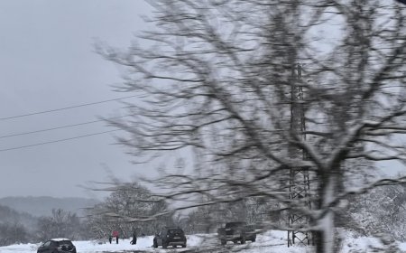 Стотици варненци се събраха извън града в търсене на сняг