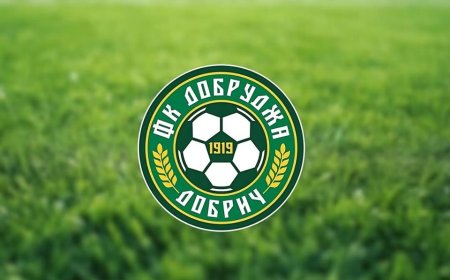 Добруджа с официално изявление след санкцията на ФИФА