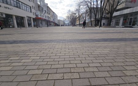 Йордан Йорданов: До ранна пролет дърветата в ремонтираната част на центъра ще бъдат засадени