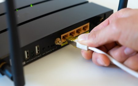 83.9% от домакинствата в област Добрич имат достъп до интернет в домовете си