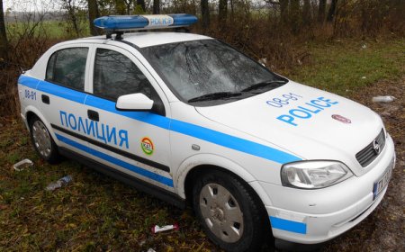 Два автомобила самокатастрофираха край Добрич, има тежко пострадала