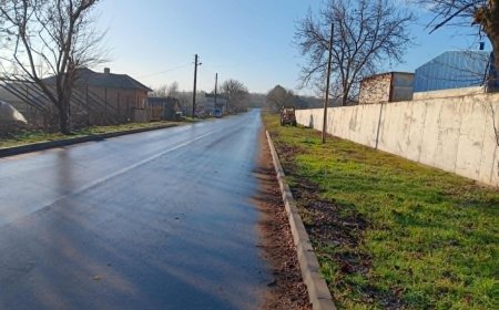 Започва ремонт на пътя между селата Карапелит и Медово