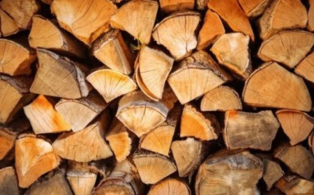 На 13 февруари ще се проведе търгът за продажбата на 400 кубика дърва за огрев