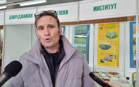 Проф. Иван Киряков: Състоянието на посевите към момента е много добро